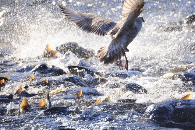 北の栞—五人展イメージ画像