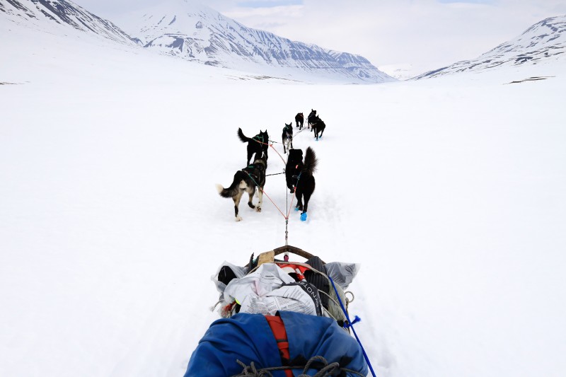 林 祐介写真展「Svalbard78°～」 ～北極圏犬橇350キロの旅～イメージ画像