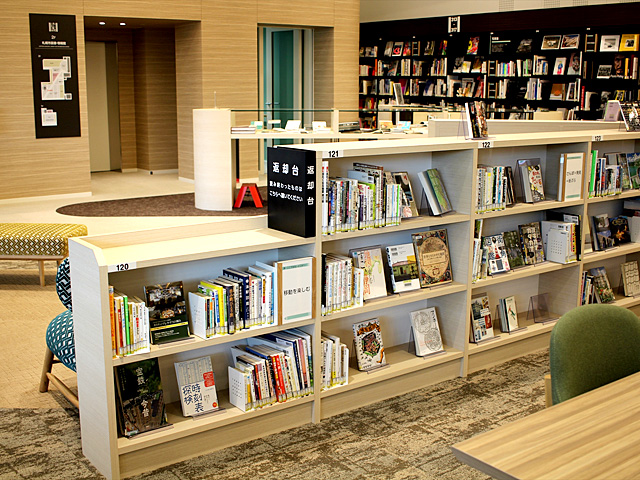 Triangularly Arranged Bookshelves: Travel Corner image