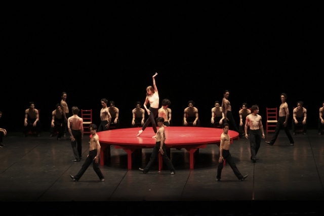 【来館鑑賞】令和7年度 My First Ballet ~ドン・キホーテ(抜粋)&ボレロ~イメージ4枚目