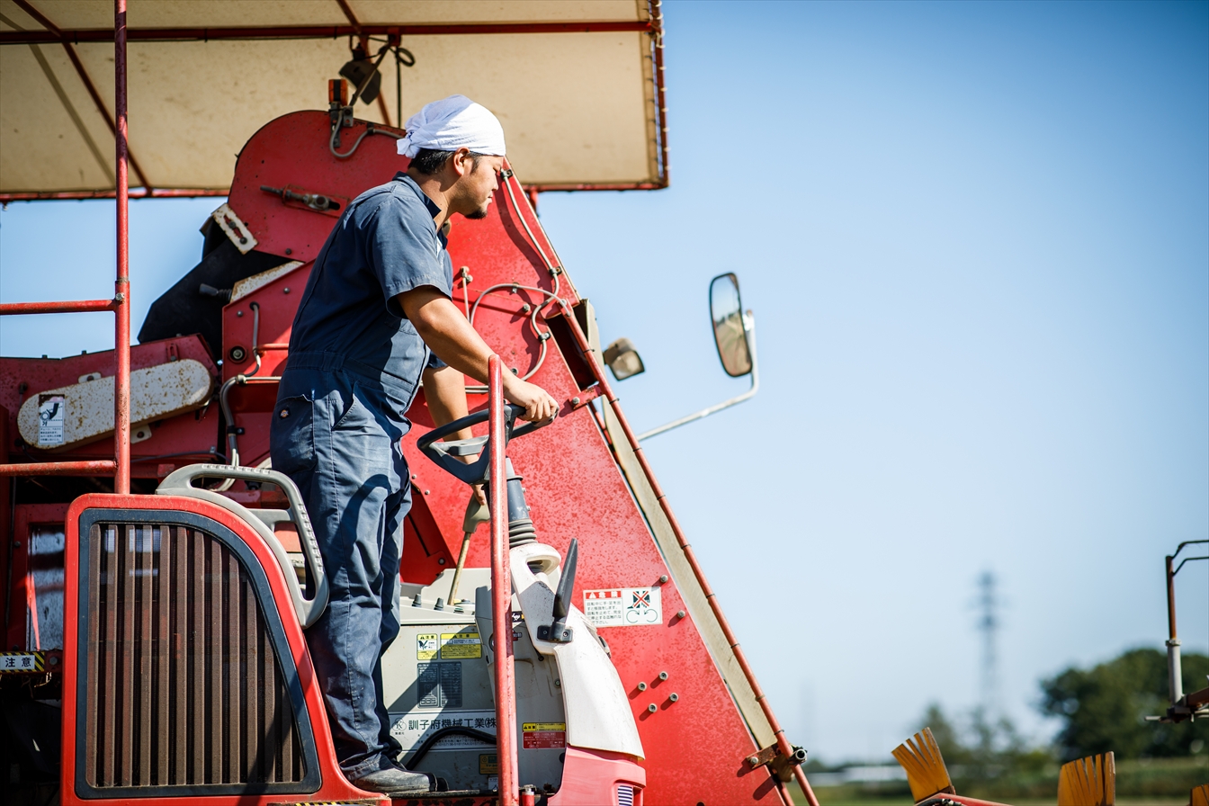 未来へ紡ぐさっぽろ農業 ~“札幌黄” 伝統を価値に変える若手農業者の挑戦~イメージ4枚目