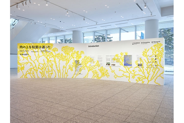 SCARTS×CoSTEPアート＆サイエンスプロジェクト 市原佐都子『肉の上を粘菌は通った』イメージ画像