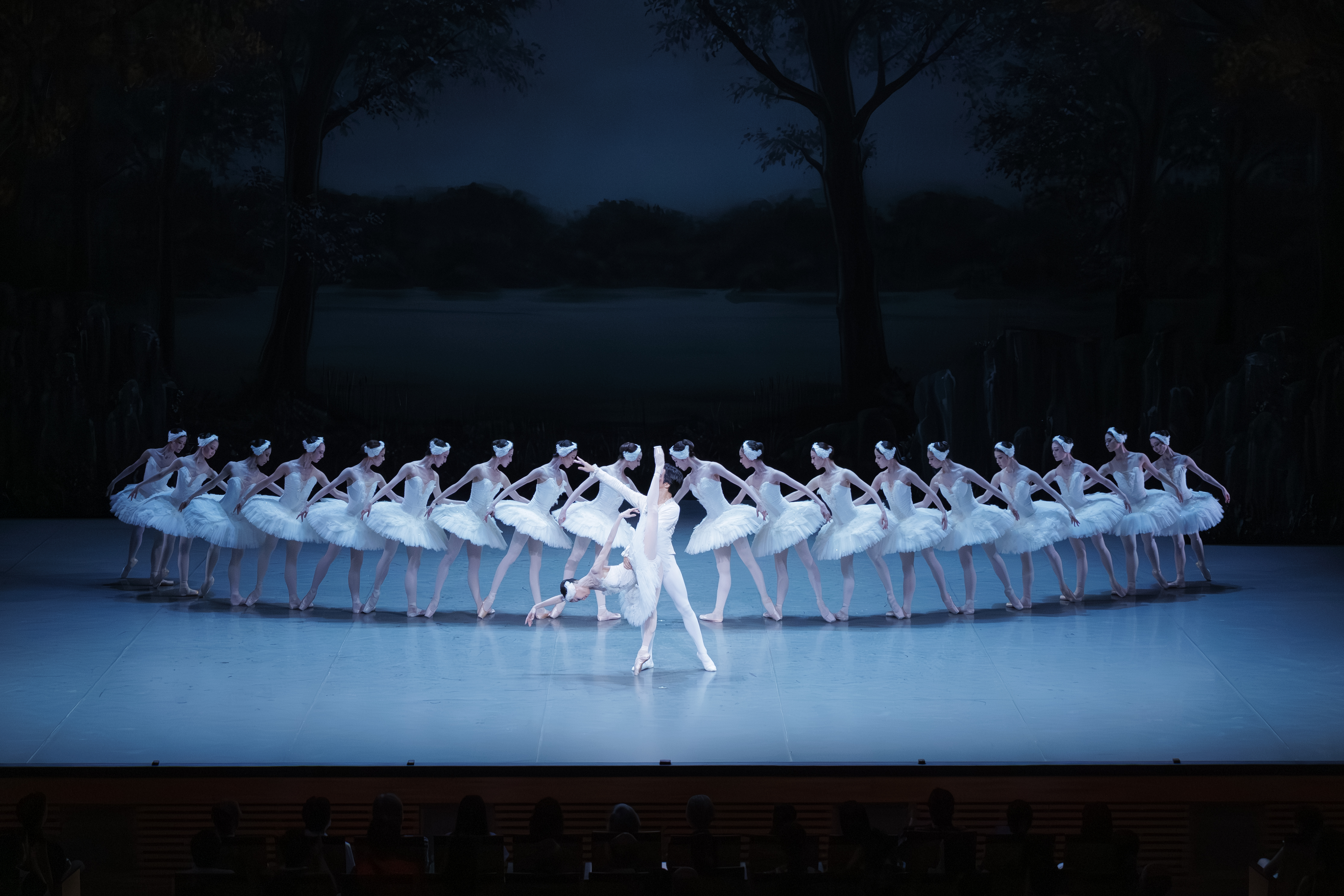 東京バレエ団 はじめてのバレエ「白鳥の湖」札幌公演 イメージ1枚目